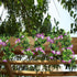 GTIDEA Artificial Vines, 2pcs 15Feet Morning Glory Hanging Plants Silk Garland Fake Green Plant Home Garden Wall Fence Stairway Outdoor Wedding Ha...