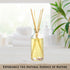 Urban Naturals Ocean Mist & Sea Salt Reed Diffuser Set | Made with Essential Oils & Real Botanicals | Decorative Air Freshener for Large Rooms | B...