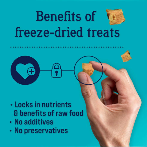 Stewart Freeze Dried Dog Treats, Wild Salmon, 2.75 oz Grain Free & Gluten Free, Resealable Pouch, Single Ingredient, Training Treat in Beef Liver,...