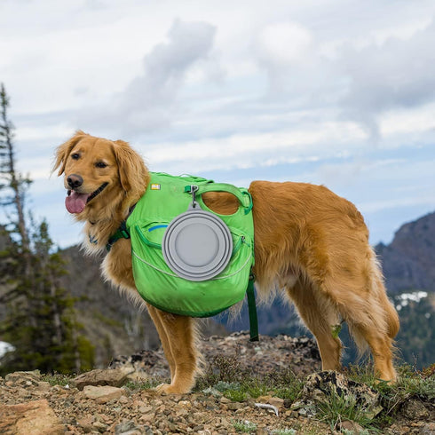 Collapsible Dog Water Bowl Large 34oz No Spill from Car Movement, Travel Dog Bowls, Less Splash Portable Pet Bowl for Road Trip, Cat Travel Access...