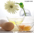 Bin 8 Multi Kitchen Tool (juices, strains, grates, and more!)...