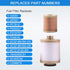 CARMOCAR FD4616 Fuel Filter and FL2016 Oil Filter Replacement for 2003-2007 Ford F250 F350 F450 F550 Super Duty 6.0L 2003-2005 Excursion 6.0L 3C3Z...