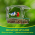 Clear Window Bird Feeder with 4 Strong Suction Cups and Detachable Seed Tray, Acrylic Birds Feeders for Outside Mounted Viewing Wild Birds Bird Ho...