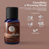 Woolzies Autumn Bakery Fall Essential Oil Set of 3 | Includes Pumpkin Pie, Cinnabake & Orange Twist | 10ML...