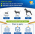 Dog Cough Treatment | Kennel Cough | Cat Cough Medicine | Dog Allergy | Kennel Cough Treatment | Dog Medicine | Cat Cough | 2 Oz...
