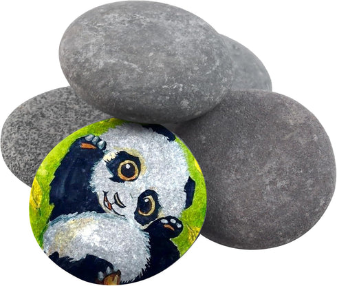 River Rocks for Painting Rock Painting Supplies Rocks to Paint River Rock Paint Flat Stones for Crafts River Stones for Painting Smooth Flat Rocks...