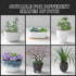 Flower Pot Hole Mesh Pad, 10 PCS 11.8x7.8 Inch Pot Bonsai Mesh Drainage Screens Plant Pot Drainage Mesh...