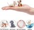 12PCS Dog Figurines, Realistic Plastic Puppy Figurines, Hand Painted Emulational Tiny Dogs Animals Toy, Dog Cake Topper Christmas Birthday Gift fo...
