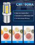 Qoope 1156 1141 Led Bulb 10V-30V AC/DC Super Bright Warm White 1073 7506 BA15S Replacement Bulbs for RV Camper Travel Trailer Marine Motorhome Int...