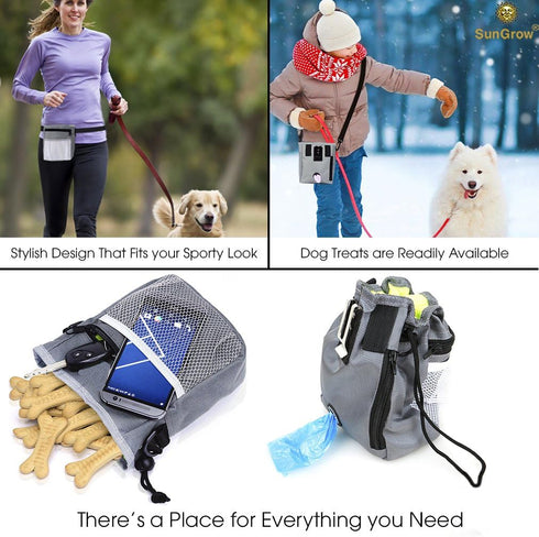 SunGrow Dog, Ferret & Parrot Training Pouch, Training Bag for Treats, Kibbles, Toys & Accessories, Gray, Multiwear and Weather-Proof, 1 pouch with...