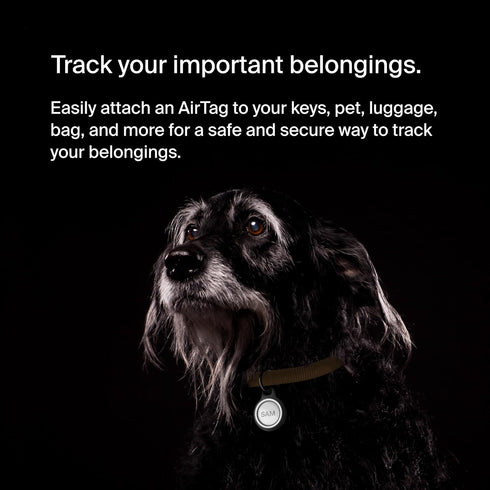 Belkin Apple AirTag Reflective Secure Holder With Key Ring - AirTag Holder - AirTag Keychain Accessories - Reflective & Scratch Resistant AirTag C...