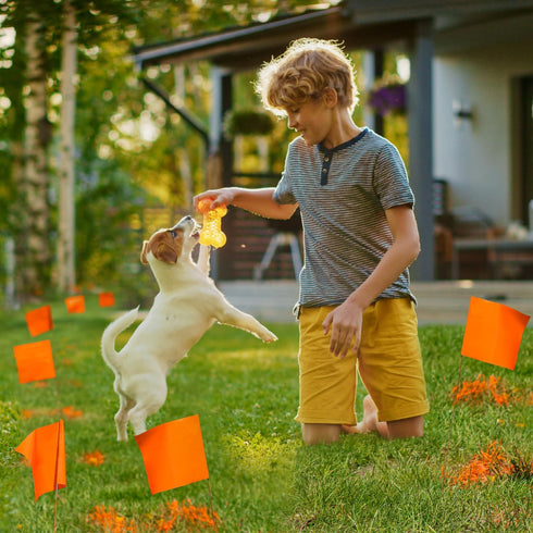 Zozen 50Pack Marking Flags, Orange Yard Flags | 15x4x5 Inch, Marker Flags, Lawn Flags Markers, Irrigation Flags, Landscape Flags, Sprinkler Flags,...