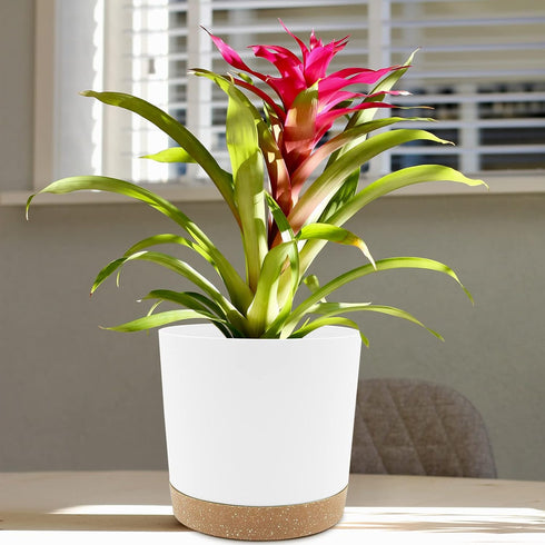 QCQHDU Plant Pots Set of 2 Pack 8 inch,Planters for Indoor Plants with Drainage Holes and Removable Base,Saucer Modern Decorative for Outdoor Gard...