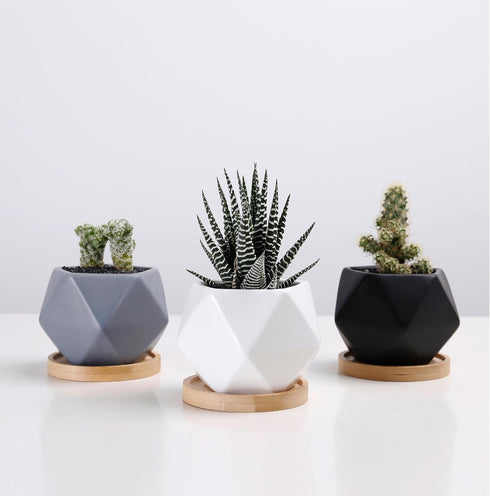 Modern Geometric Ceramic Succulent Pots 3" Planters with Drainage | Bamboo Tray | 3 Pack...
