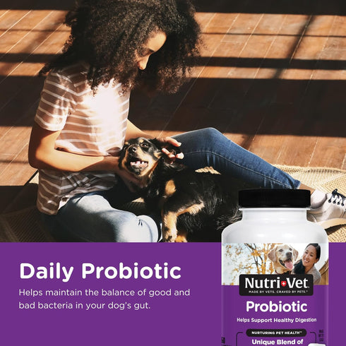 Nutri-Vet Probiotics Capsules for Dogs | Supports Digestive Health | For All Size Dogs | Promotes Healthy Immune System | Vet Formulated | 60 Coun...