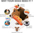 Durable Indestructible Dog Chew Toys for Aggressive Chewers, Super Tough Dog Chew Toys, Hard Rubber Dog Toys...