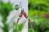 Gardena 36938 Garden Hose Y-Valve With Flow Control Valves, Connect 2 Hoses to 1 Tap, Made in Germany...