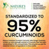 Turmeric Curcumin & Ginger Gummies 95% Curcuminoids with Black Pepper Extract for Max Absorption Joint Support, Nature's Tumeric Herbal Extract Su...