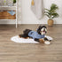 Bone Dry Pet Robe Collection, Embroidered Absorbent Microfiber Bath Robe with Adjustable Closure, for Dogs & Cats, Small, Stonewash Blue...