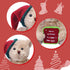 2pcs Plush Teddy Bear, 11.7" TGift Stuffed Bears in Diffrent Styles, Soft Cute Stuffed Animals, Vintage Christmas Teddy Bear Plush Gifts for Girls...