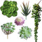 6 Pcs Artificial Succulents Different Kinds Assorted Faux Succulent Plants Unpotted Fake Succulents Artificial Hanging Plants String of Pearls Pla...