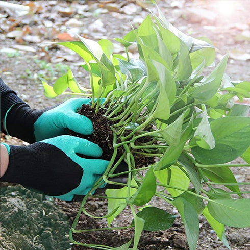 Claw Gardening Gloves for Planting, Garden Glove Claws for Women...