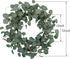 idyllic Eucalyptus Leaves Wreath Metal Polyester Fabric Paper Round Green Wreath 22 Inches for The Front Door Decor...