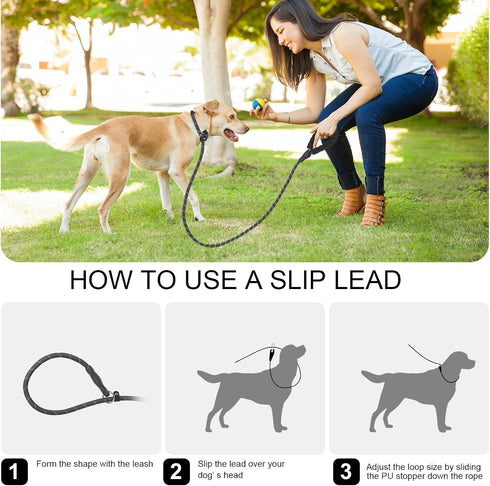 Slip Lead 6 FT for Medium and Large Dogs,Puppy Dog Training Leash Heavy Duty,No Pull Reflective Nylon Dog Leash,Rope Training Leash for Dogs That ...