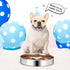Slow Feeder Dog Bowls 304 Stainless Steel, 2 Cups Metal Food Bowls, Water Bowl for Small & Medium Sized Dogs, Fun Bloat Stop Pet Fast Eaters...