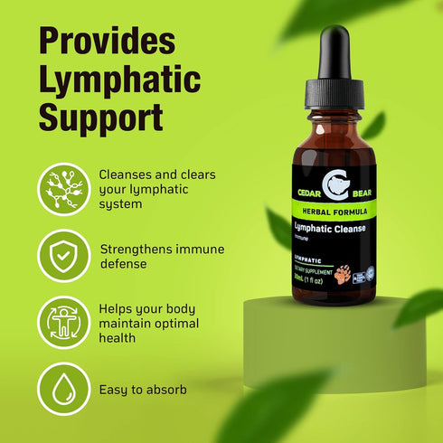 Cedar Bear - Lymphatic Cleanse Immune Support Supplement, Alcohol-Free Lymphatic Drainage Drops with Immune-Enhancing Natural Herbs, Liquid Herbal...