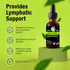 Cedar Bear - Lymphatic Cleanse Immune Support Supplement, Alcohol-Free Lymphatic Drainage Drops with Immune-Enhancing Natural Herbs, Liquid Herbal...