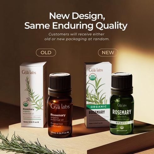 Gya Labs USDA Certified Organic Rosemary Essential Oil for Hair & Scalp - 100% Pure Natural Rosemary Oil Organic for Skin & Diffuser - Natural Aro...