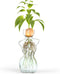 Elegant Female Silhouette Glass Vase by HMC for Plant Propagation and Flower Arrangements - Perfect for Seed Starting, Water Rooting, and Home Dec...
