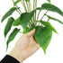 Artificial Flower 17 inches Calla Lily Silk Plant Fake Bonsai Flowers Greenery Plants for Indoor Outdoor Home Office Bedroom Table Centerpieces Pa...