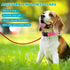 9 Pieces Adjustable Dog Collar for Medium Dogs, Soft Nylon Dog Collar with Quick Release Buckle Collar Bulk for Dogs Walking Running Training (Ret...