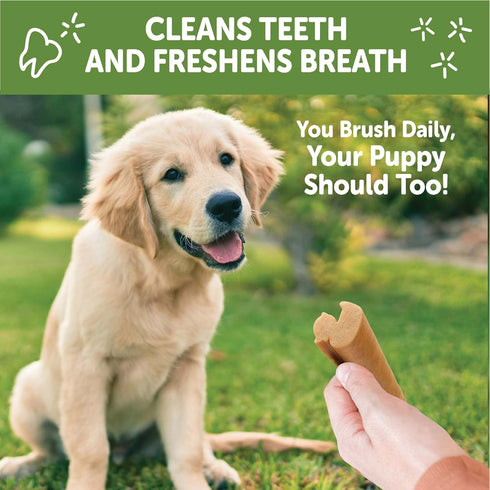 Whimzees by Wellness Dental Treats for Puppies, Natural, Grain Free, Helps to Clean Teeth, Freshen Breath, Reduce Tartar & Plaque, Longer Lasting ...