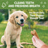 Whimzees by Wellness Dental Treats for Puppies, Natural, Grain Free, Helps to Clean Teeth, Freshen Breath, Reduce Tartar & Plaque, Longer Lasting ...