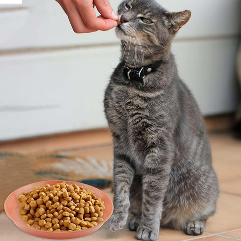 8pcs Cat Food Bowls, 6 inch Whisker Fatigue Cat Bowls for Food and Water Wheat Straw Shallow Wide Cat Dish Plates Colorful Kittens Wet Feeding Wat...