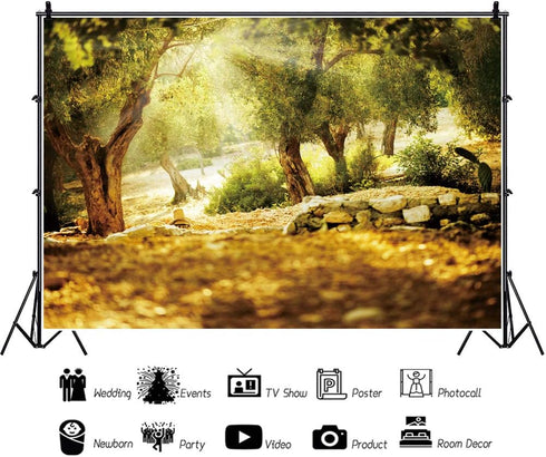 Leyiyi 7x5ft Natural Scenery Backdrop Olive Trees Sunshine Wonderland Dreamy Haze Blurred Background Stone Natural Forest Landscape Video Photo St...