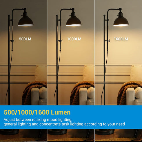 DEWENWILS LED 3 Way Light Bulbs, 40/60/100W Equivalent Three Way A19 LED Light Bulbs, E26 Medium Base 2700K Warm White Glow, 500/1000/1600LM Brigh...