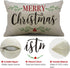 DFXSZ Merry Christmas Pillow Covers Holly Berries Lumbar Pillow Covers Outdoor Pillowcase 12x20 Inch for Home Decoration...