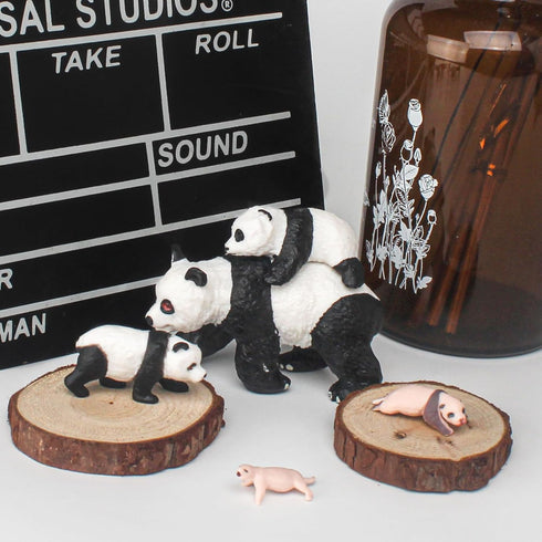 Animal Life Cycle Model Figure 4 PCS Panda Growth Model Classroom Accessories Party Supplies Cake Toppers Desktop Decoration Educational Developme...