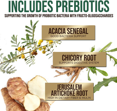 Daily Probiotics and Prebiotics 60 Billion CFU - 10 Diverse Strains for Digestion, Vaginal & Immune Health Support - Digestive Support for Men and...