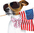 ARING PET 4th of July Dog Collar-Cotton Pink USA Patriotic Dog Collar with Bowtie, Adjustable American Flag Dog Collar Puppy Collars for Small Med...