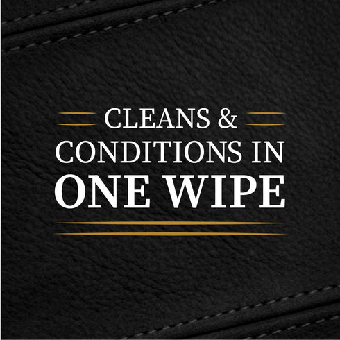 Lexol All Leather Quick Care All-in-One Formula, Best Leather Cleaner and Conditioner, for Use on Leather Apparel, Furniture, Auto Interiors, Shoe...