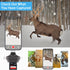 4 in 1 Trail Camera Viewer, Memory Card Reader Compatible with iPhone/Ipad/Android/Computer/Camera/Type C, Hunting Photo & Video Viewer, Gift for ...