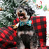 ARING PET Christmas Dog Collar-Cotton Winter Dog Collar with Bow, Adjustable Blue Christmas Tree Pet Collar Puppy Collars with Metal Buckle...