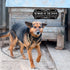 2 Pieces Dog Sign for Fence Beware of Warning Signs Metal Aluminum Funny Rustic Dog in Yard Keep Gate Closed Wall Door Sign (Classic Pattern)...