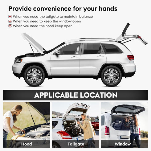 Front Hood Lift Supports Shock Struts Compatible with Charger 2006-2010, Magnum 2005-2008, Chrysler 300 2005-2010, Challenger 2008-2012, 6303, 2 P...