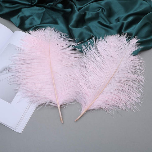 12pcs Natural Light Pink Ostrich Feathers 12-14inch (30-35cm) for Wedding Party Centerpieces?Flower Arrangement and Home Decoration....